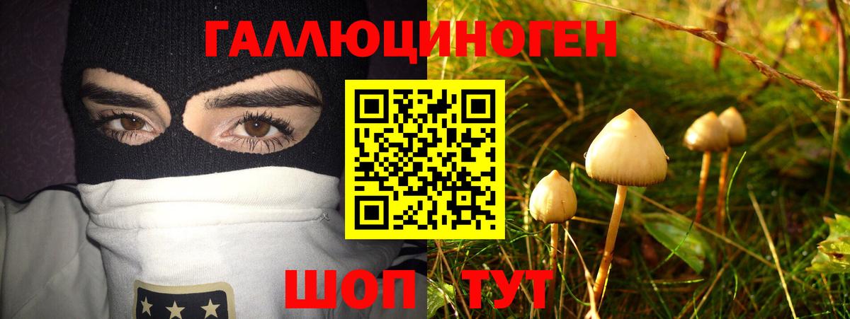 Галлюциногенные грибы Psilocybe Ангарск